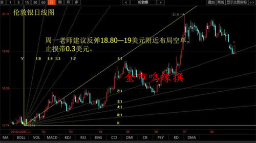 伦敦黄金实时行情最新分析与展望