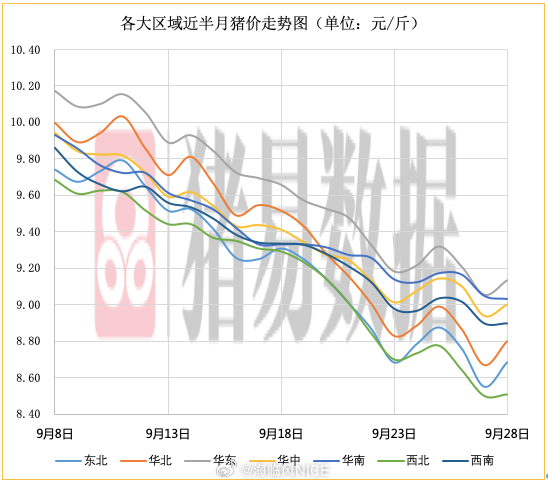 最新今日猪价涨跌表及分析