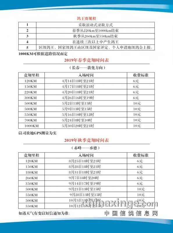 通辽信鸽协会最新公告