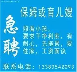 乳山热线招聘求职最新消息——探寻职场新机遇