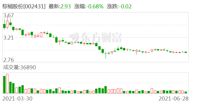 棕榈股份最新消息综述