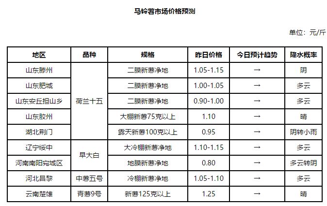 今日土豆价格最新报价——市场走势分析