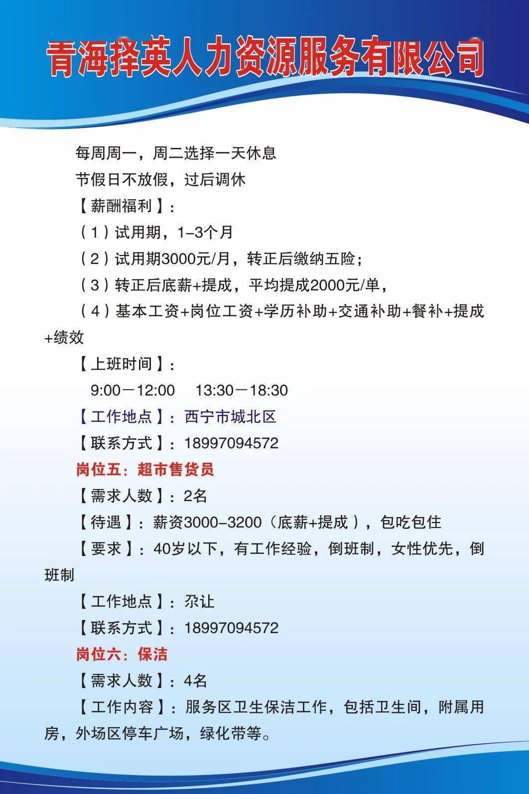 青海省招聘网最新招聘动态深度解析