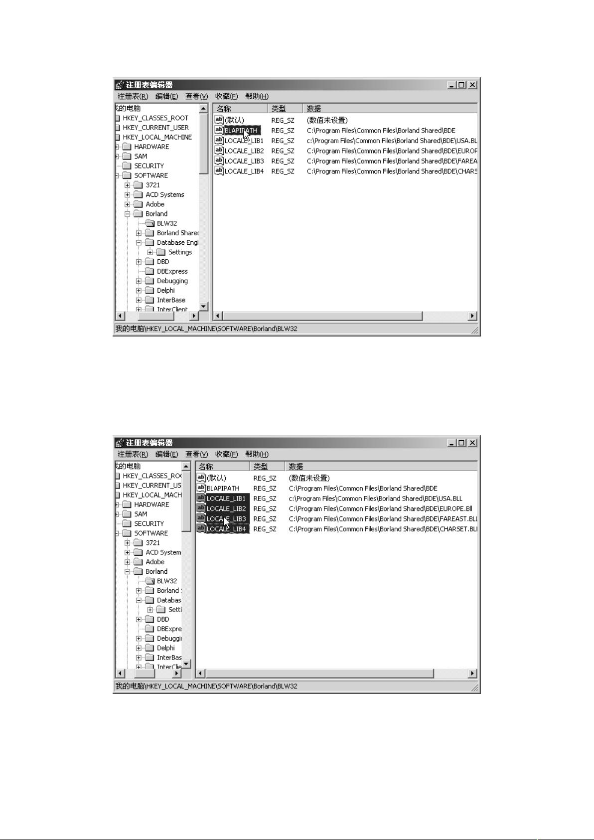 Delphi最新版，编程领域的革新先锋