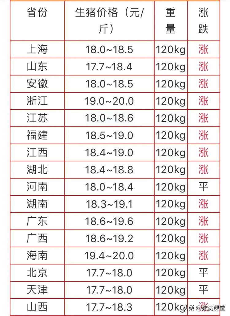 毛猪价格最新行情分析与查询