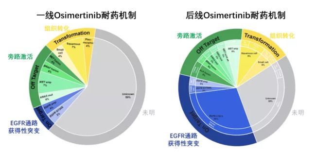 奥希替尼最新价格及其市场影响分析