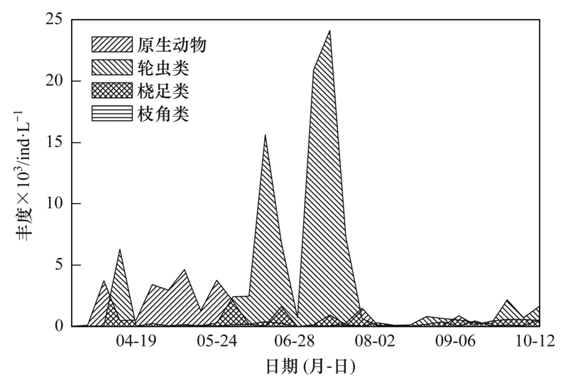 长寿本地最新招聘动态及其影响