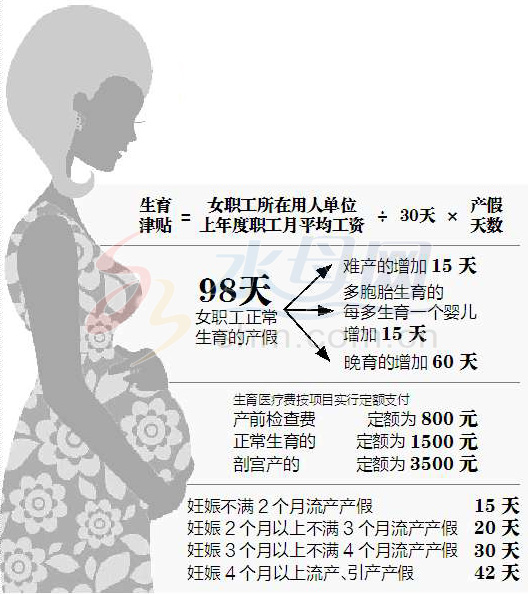 浙江省产假最新规定及其影响