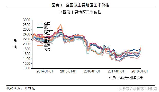 山东玉米最新价格动态分析