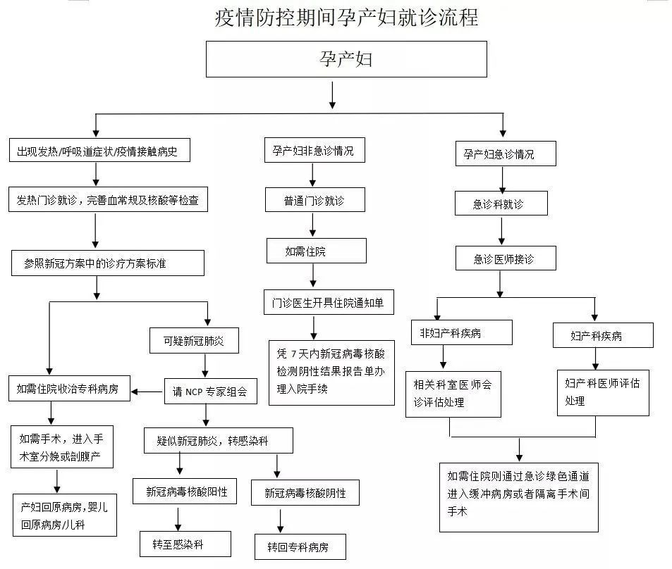 心电监护流程口述最新详解